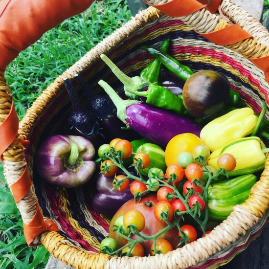商品ページ | doma natural farm